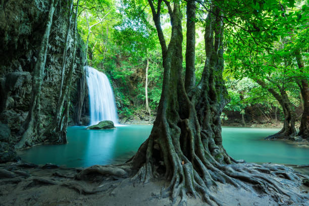 hermosa cascada de selva tropical de erawan en la provincia de kanchanaburi, tailandia. - kanchanaburi province beauty in nature falling flowing fotografías e imágenes de stock