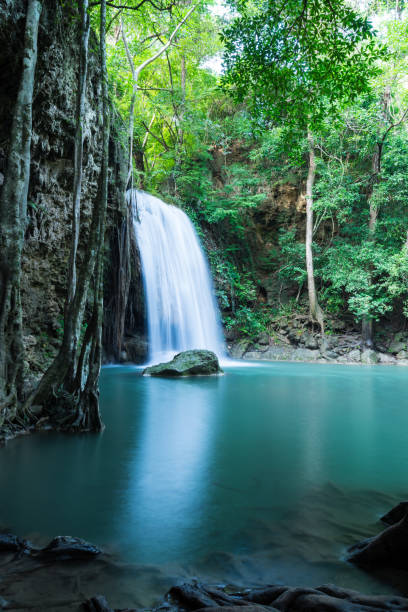 hermosa cascada de selva tropical de erawan en la provincia de kanchanaburi, tailandia. - kanchanaburi province beauty in nature falling flowing fotografías e imágenes de stock