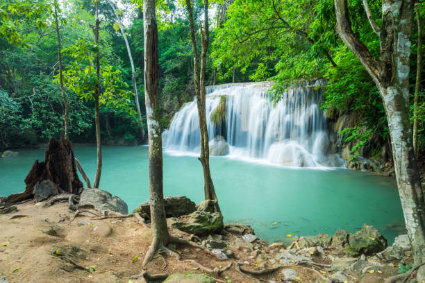 hermosa cascada de selva tropical de erawan en la provincia de kanchanaburi, tailandia. - kanchanaburi province beauty in nature falling flowing fotografías e imágenes de stock