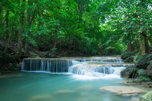 hermosa cascada de selva tropical de erawan en la provincia de kanchanaburi, tailandia. - kanchanaburi province beauty in nature falling flowing fotografías e imágenes de stock