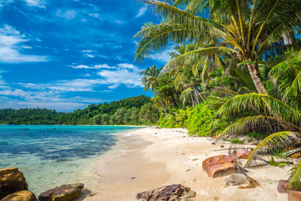 istock Beautiful tropical island beach - Ko Kut, Trat Thailand. 1628906064