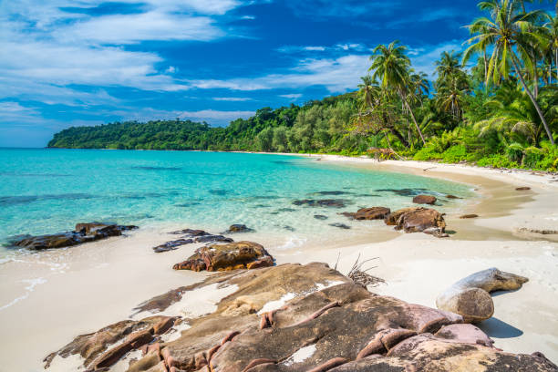 istock Beautiful tropical island beach - Ko Kut, Trat Thailand. 1628906068