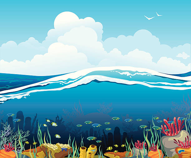 illustrations, cliparts, dessins animés et icônes de paysage marin avec ciel nuageux et créatures sous-marines - green sky water wave