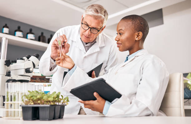 cientista, tubo de ensaio e trabalho em equipe para plantas, solução agrícola e resolução de problemas em pesquisa laboratorial. mentor de ciência e formação de estudantes em tablet digital para crescimento, folha ou sustentabilidade - healthcare and medicine digital tablet medical exam doctor - fotografias e filmes do acervo