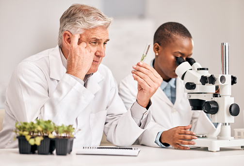 Portrait of two ethnic young people working in medical laboratory, black man using microscope in foreground