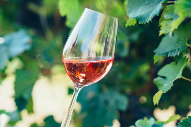 istock Wine tasting in outdoor winery. 1628963531