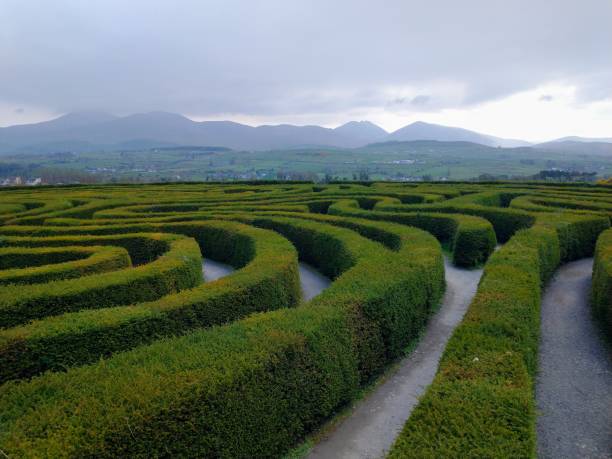 istock Peace Hedge Maze at Castlewellen Forest Park 1628973593