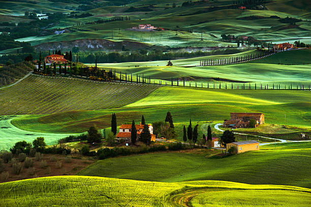 istock Tuscany - Italy 162897546