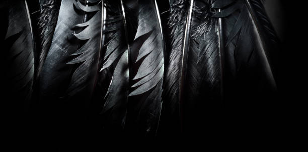 istock Halloween background with black raven feathers on dark grunge backdrop. 1629001607