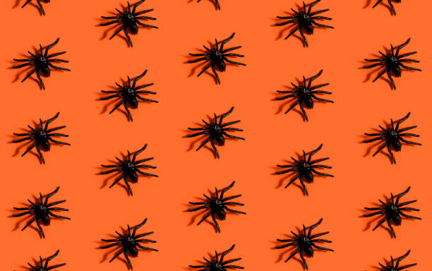 istock Halloween background pattern. Scary black spider on orange paper. Minimal pop art design for halloween party concept. 1629004952