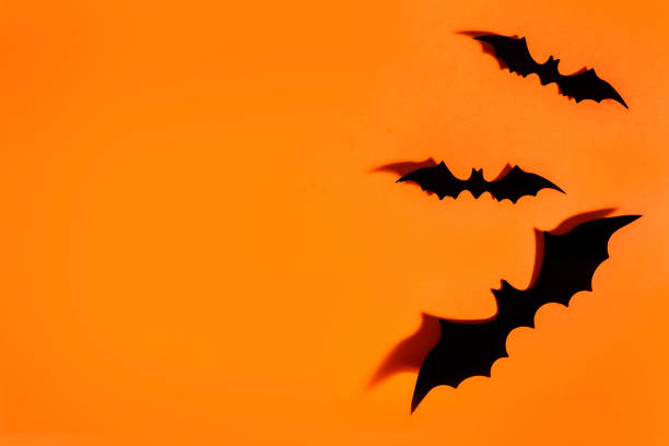 istock Halloween background flat lay. Scary bats on orange paper backdrop. Minimal clean design layout. 1629005533
