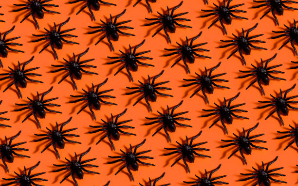 istock Halloween background pattern. Scary black spider on orange paper. 1629006108