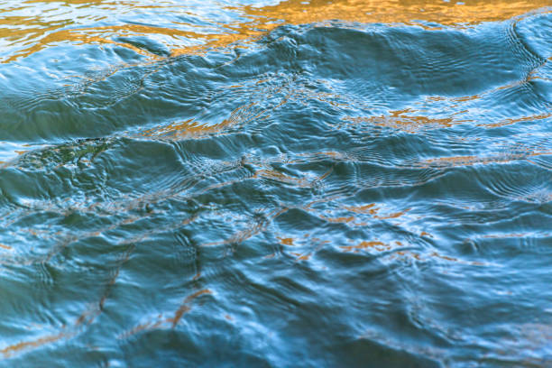 istock The play of sunlight and the flow of water 1629007740