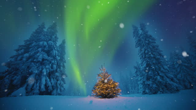 SLO MO Snow slowly falling on a glowing Christmas tree under the Northern Lights (Aurora Borealis) sky