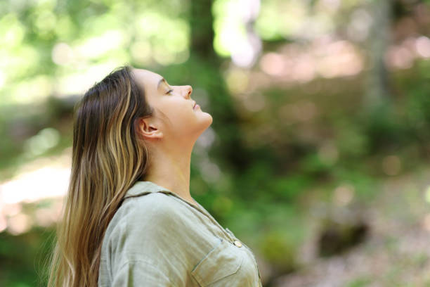 istock Woman breathing in a forest fresh air 1629071896