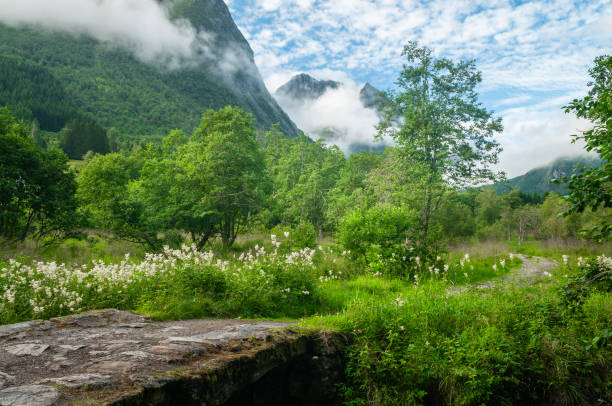 old bridge over stream with path to the mountain