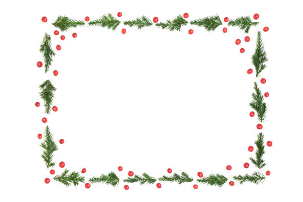 istock Juniper Fir and Holly Berry Winter Christmas Background Frame 1629085749