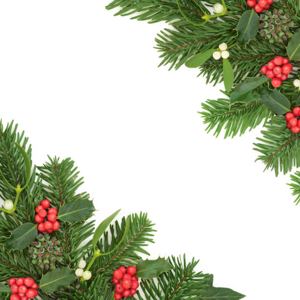istock Traditional Christmas Nature Background Border 1629087102