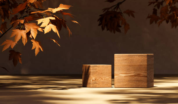 istock Cube shaped wooden blacks on ground in daylight with autumn leaves 1629087632
