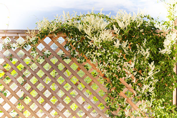 весна - fence formal garden gardening ornamental garden стоковые фото и изображения
