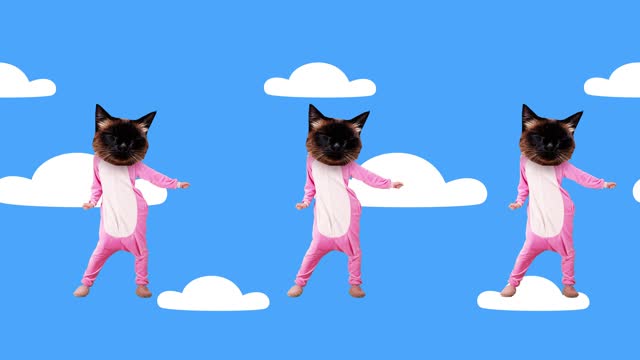 Creative design with cats in pink pajamas dancing against blue background with clouds. Stop motion, animation