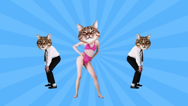 Woman in swimsuit dancing near man in formal wear over blue background. People headed with cats muzzles. Stop motion, animation