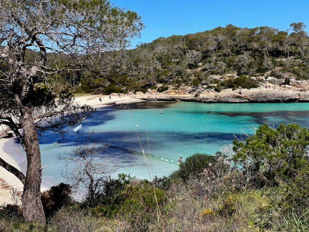 istock Mondrago Natural Park in Mallorca 1629118265