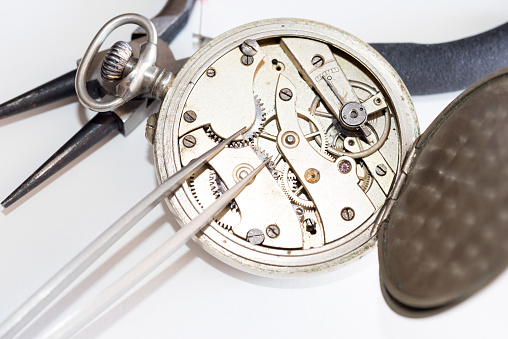 Timeless Precision: A Watchmaker's Artistry in Action