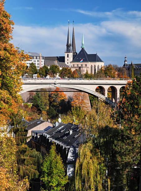 vista sulla città di lussemburgo e sul ponte di adolphe in autunno - medieval autumn cathedral vertical foto e immagini stock