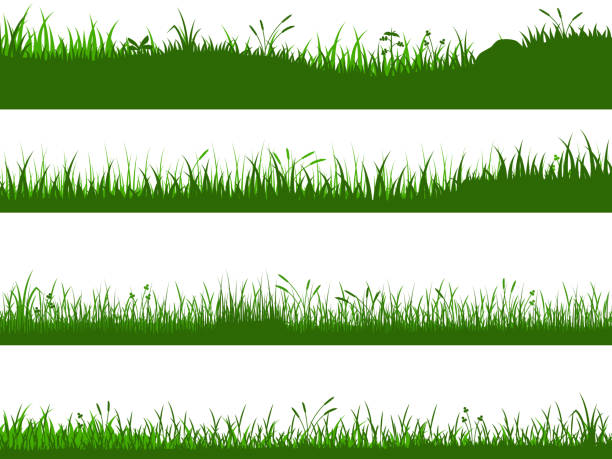 ilustrações de stock, clip art, desenhos animados e ícones de grass vector set - relva
