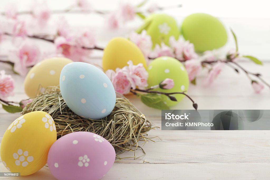 easter decoration colorful easter eggs and branch with flowers Animal Egg Stock Photo