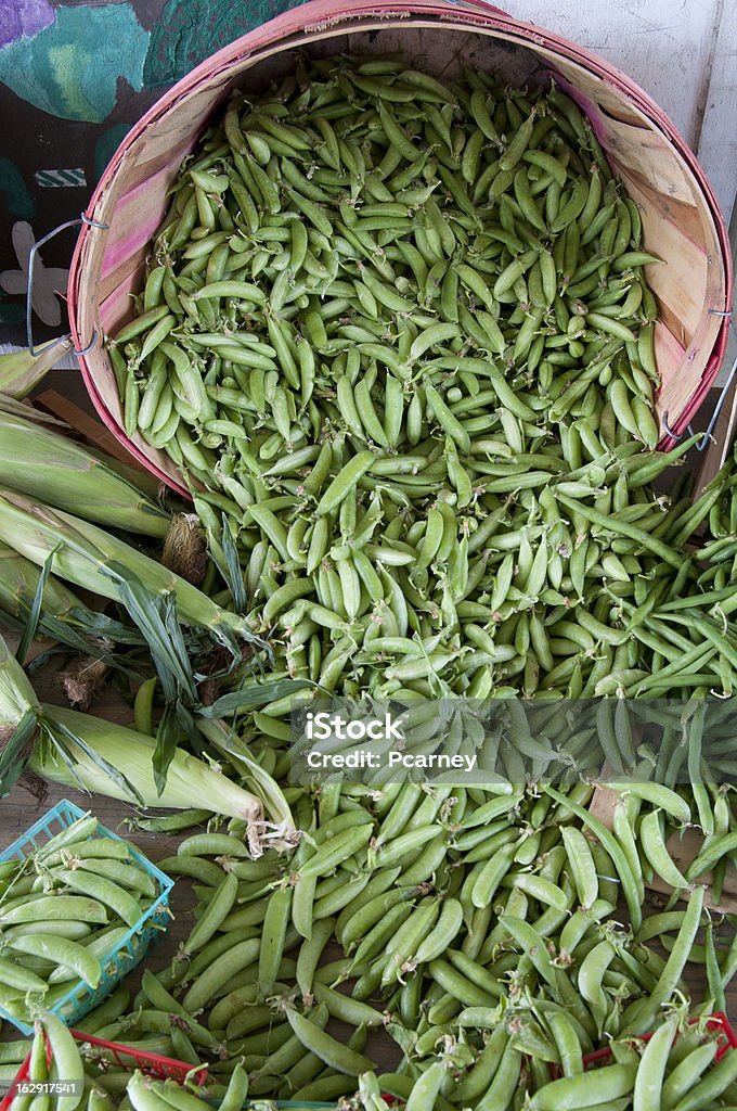 Tumbling haricots verts - Photo de Aliment libre de droits