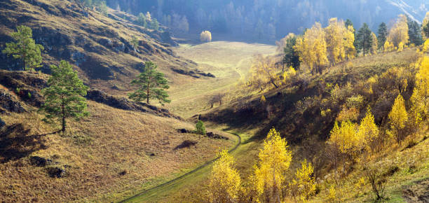 istock Mountain valley in the morning light, autumn 1629189338