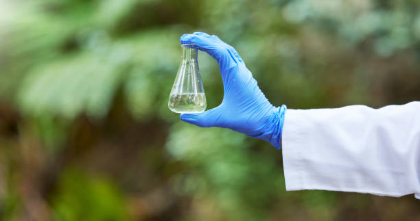 istock Environment, science and flask with hands of scientist in nature for quality control, research and water. Sustainability, study and medical with closeup of person in forest for eco biotechnology 1629216988