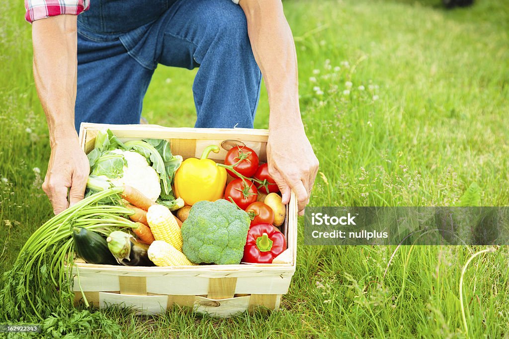 Agricultor de pé em um campo - Foto de stock de 50 Anos royalty-free