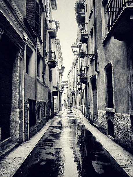 istock Wet alley in Verona 162922424