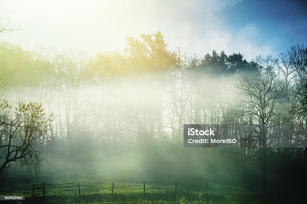 Nebbia mattina nel paese lato - Foto stock royalty-free di Alba - Crepuscolo