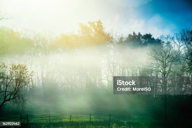 Nebbia Mattina Nel Paese Lato - Fotografie stock e altre immagini di Alba - Crepuscolo - Alba - Crepuscolo, Albero, Ambientazione esterna