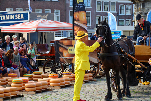 Gouda (the Netherlands), August 17th - Actors playing the traditional cheese market in Gouda with presentor with cheese microphone,