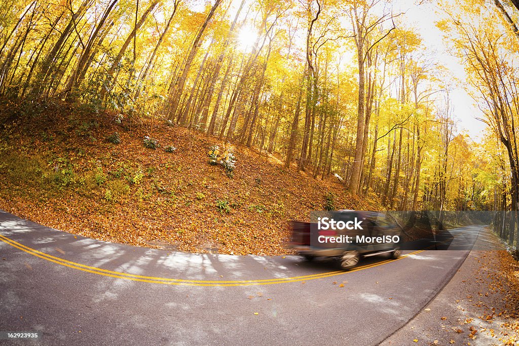 Retiro de conducción en el bosque - Foto de stock de Camioneta libre de derechos