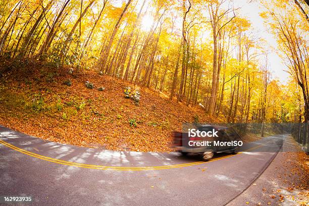 Ritiro Guida Nella Foresta - Fotografie stock e altre immagini di Furgone pickup - Furgone pickup, Guidare, Strada di campagna