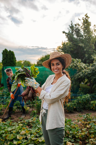 istock Young woman picking beet from her fathers garden 1629243704