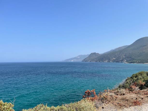 la bellissima costa della corsica - sign beach wood beach sign foto e immagini stock