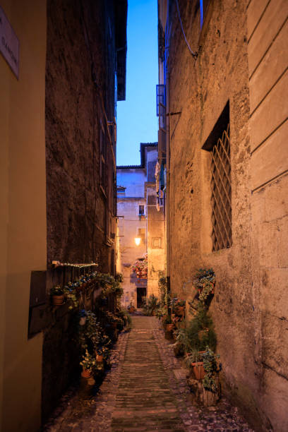 istock Italian old town street at dusk 1629248742