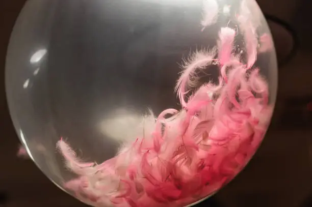 Photo of Transparent balloons with pink feathers inside hangs on the party