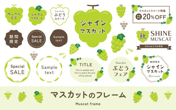 illustrazioni stock, clip art, cartoni animati e icone di tendenza di illustrazione e cornice di uva bianca e moscati. intestazioni dei titoli, materiale dell'etichetta, decorazioni vettoriali semplici e carine. - grape white grape green muscat grape