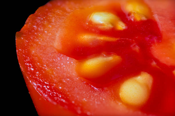 italy red tomato super macro view food