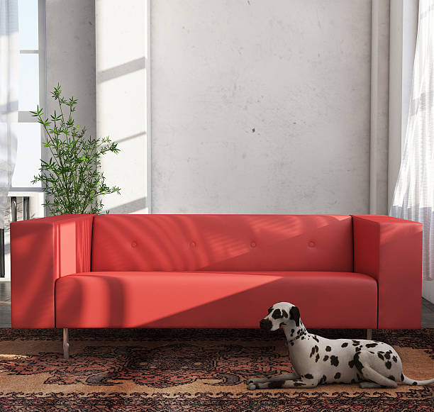 Living room interior  with a dog , render