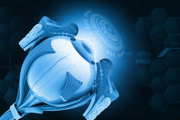 Human eye anatomy on modern technology background