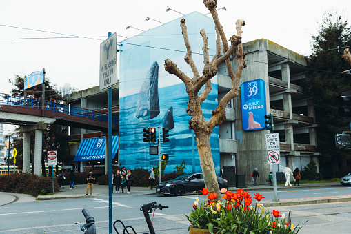 March 19, 2023: walking the bay are of San Francisco, California - view of big blue graffiti picture at the parking lot
